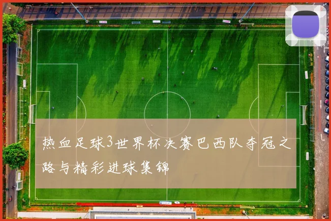 热血足球3世界杯决赛巴西队夺冠之路与精彩进球集锦