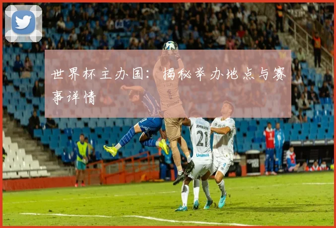 世界杯主办国：揭秘举办地点与赛事详情