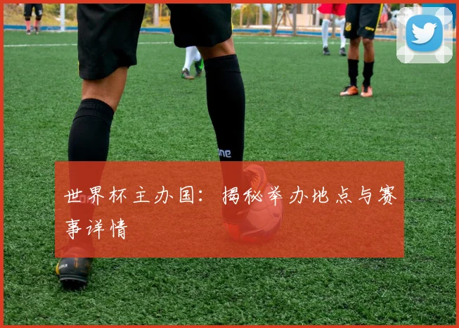 世界杯主办国：揭秘举办地点与赛事详情