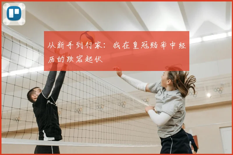 从新手到行家：我在皇冠赔率中经历的跌宕起伏