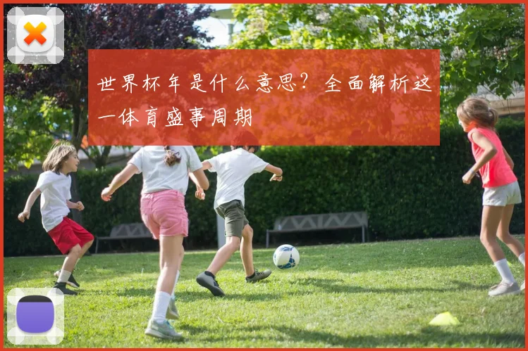 世界杯年是什么意思？全面解析这一体育盛事周期