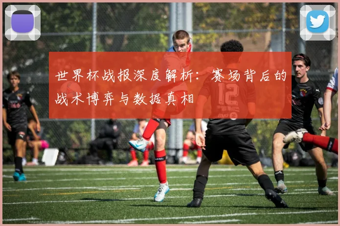 世界杯战报深度解析:赛场背后的战术博弈与数据真相