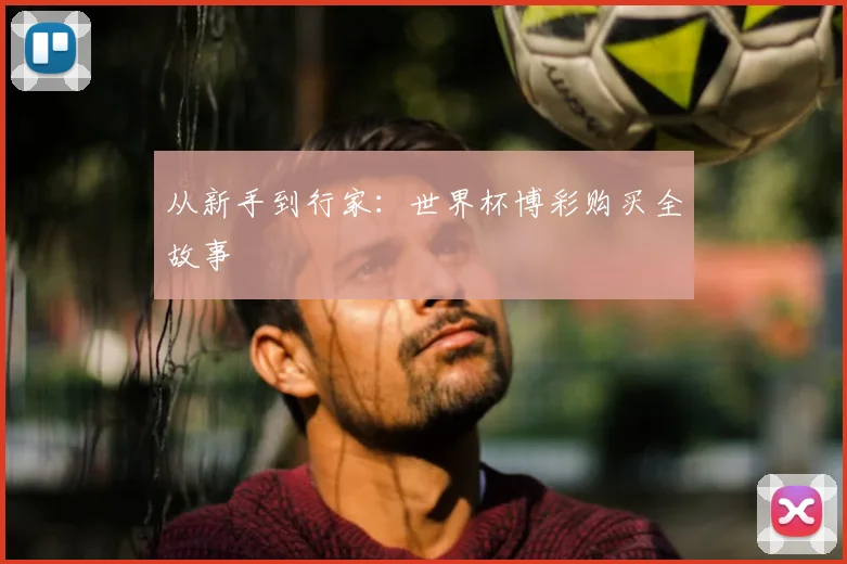 从新手到行家：世界杯博彩购买全故事