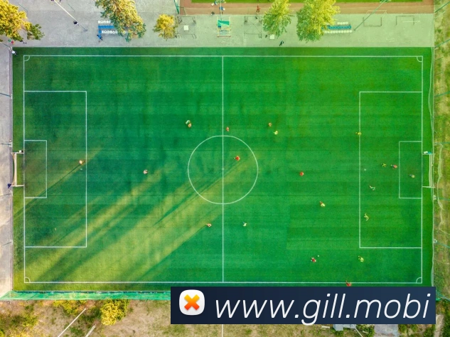 多媒体互动体验